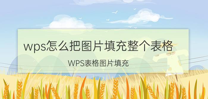 wps怎么把图片填充整个表格 WPS表格图片填充